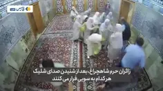 اغتشاشگران به داعش جرات چنین جولانی دادن