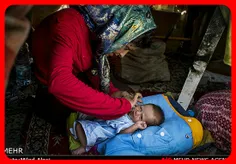 تولد روزانه 4 نوزاد معتاد در تهران