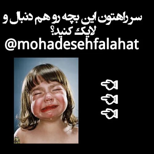 @mohadesehfalahat