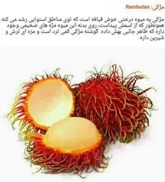 میوه های عجیب