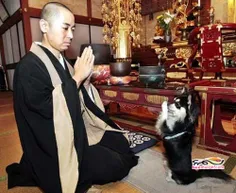 عبادت درمذهب بودایی سگه چی میگه اون وسط من موندم میشه بگی
