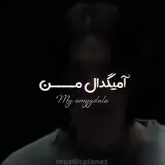 دام+تنگهههههههههه