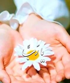 🌼یـــا رَبَّ اسیرم