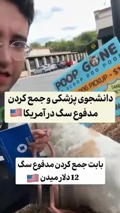 فکر کن دانشجوی پزشکی باشی و تو آمریکا مدفوع سگ جمع کنی!!!