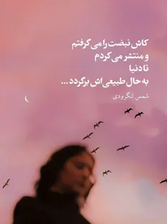 #شمس_لنگرودی #بهاره🌸