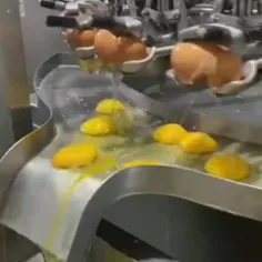 دستگاه جدا سازی زرده با سفیده تخم مرغ