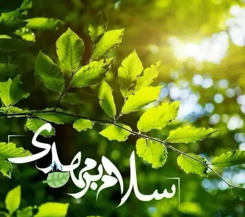 السَّلامُ عَلَيْكَ یا بقِیَّةَ اللهُ فی اَرضِه