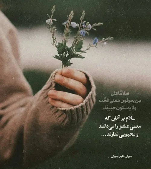 به یکدیگر مهر بورزید.