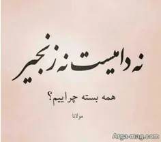 نه دامیست نه زنجیر ...