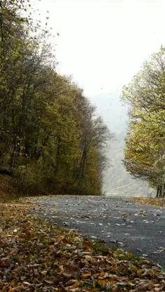 🖋🦋🍂 عزیز من ؛ باید تنها بشوی، باید گیر بیفتی، باید کسی را