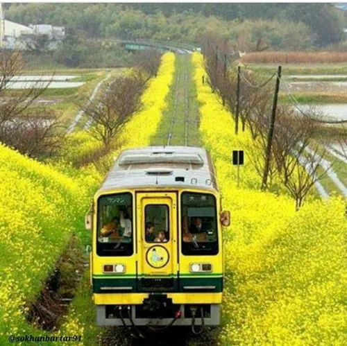 سعي نکنید🍃🌼