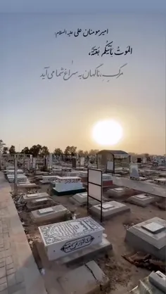 حضرت امیرالمومنین علی علیه السلام می فرمایند: 