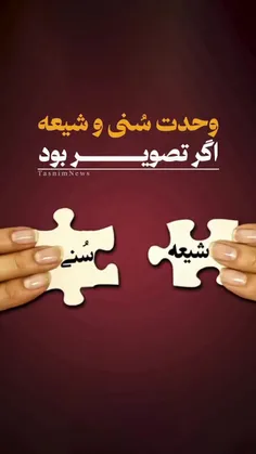 وحدت سنی و شیعه اگر تصویر بود