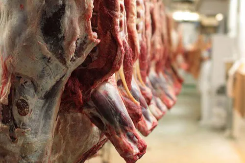 📣 طی یکسال و نیم گذشته گوشت قرمز ۴۵درصد گران شد