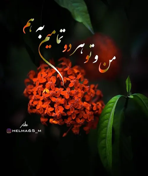 خاص عکس نوشته زیبا