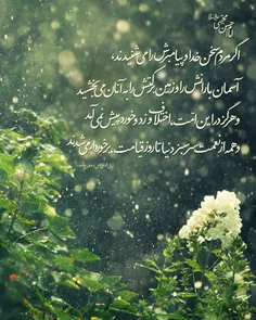 💐 امام حسن مجتبی (ع)