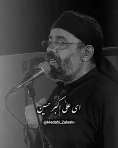 🎬 ای علی اکبر حسین ✋️✋️ 