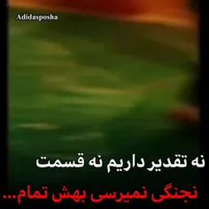 نه تقدیرداریم