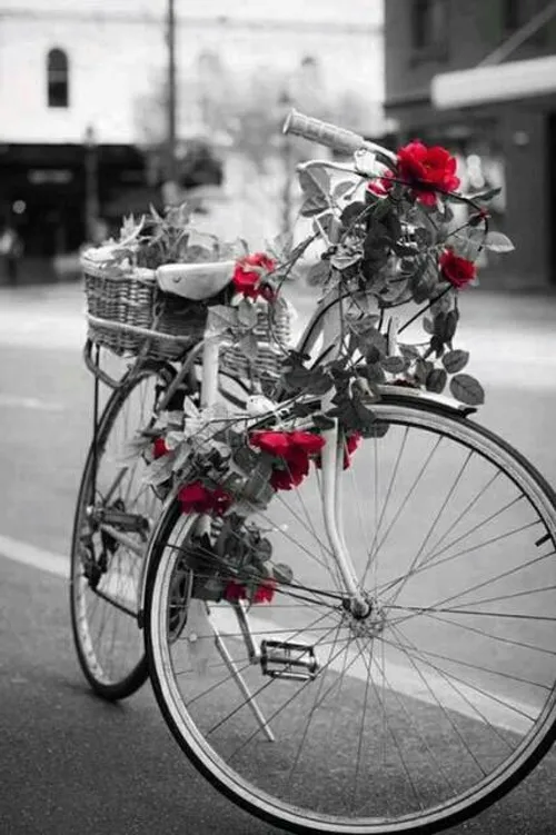 عشق به دوچرخه رو هیچکس و هیچ چیز نمیتونه ازم بگیره..