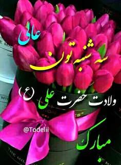 ‍🌸 🍃 سلام روز سه شنبه تون بخیر 