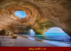 اینجا زمین ماست