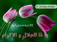 سلام صبح بخیر 