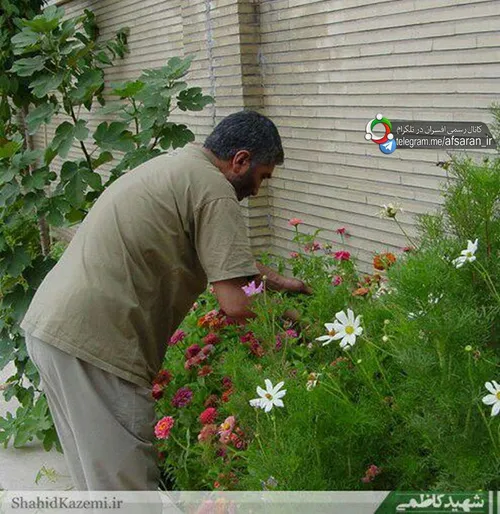 پنجمین شهید ماه افسران؛ سردار سرلشکر شهید احمد کاظمی