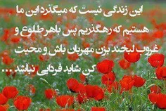 عکس نوشته ghazzal 12288569