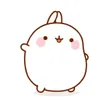 molang_g