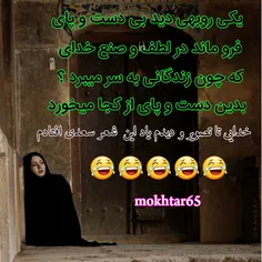 ای  روباه مکار 😐  »»»»»»😂 😂