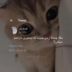 چیزی که دوست دارم به خیلیا بگم🥺