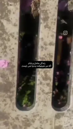 آره همینه