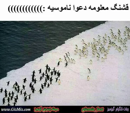 خخخخخ