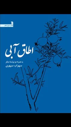 📖اطاق آبی 