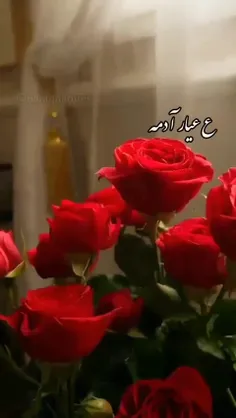 💞💞
