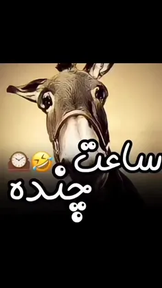 سم 😂
لایک کامنت یادت نرع ❤️