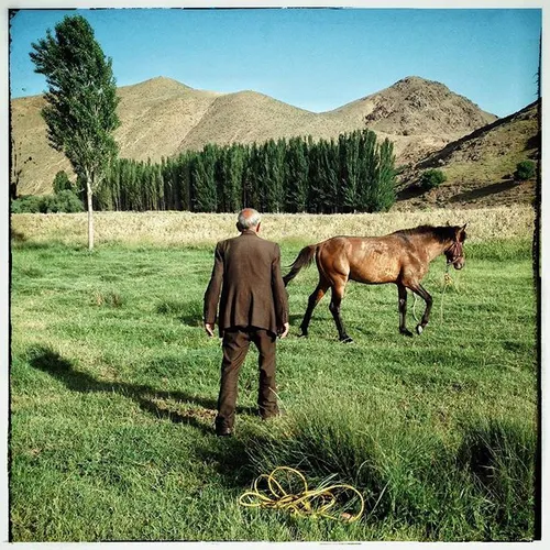 An elderly man and his horse in Ajabshir County, Azerbaij