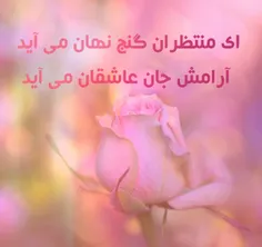 امام زمان از منظر روایات
