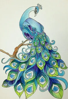 طراحی گرافیکی طاووس خوشگل  تقدیم می کنم با ابجیا مون و دا