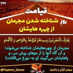 #قران #قرآن #قرآن_کریم #قران_کریم #القرآن #القران_الکریم 