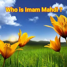 Who is lmam Mahdi?