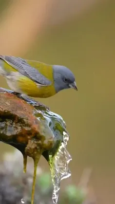 به خدایی که 