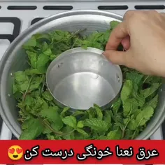 🌱عرق نعنای خونگی درست کن😍