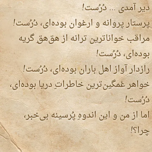 سیدعلی صالحی