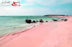. اسپیاجیا رزای بادلی، ساردینیا- ایتالیا(Spiaggia Rosa of