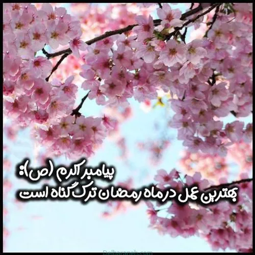 🌹حدیث پیامبراکرم حضرت محمد(ص)🌹