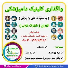 واگذاری یک کلینیک دامپزشکی مجهز در تهران ( کلی / جزئی )