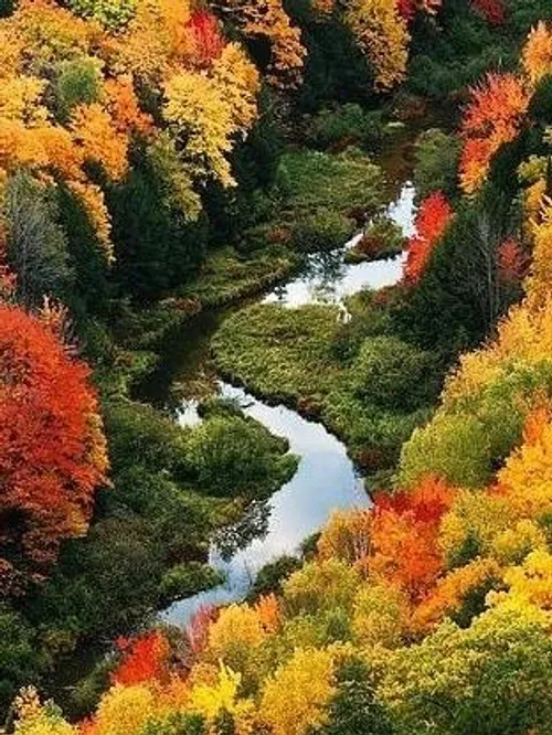 طبیعت زیبا پاییز زیبا ،