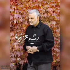 🌹💞🍃مثل پدر ، تقدیم به حاج قاسم سلیمانی🌹