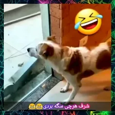 بیا کلی کلیپ باحال گذاشتم😍